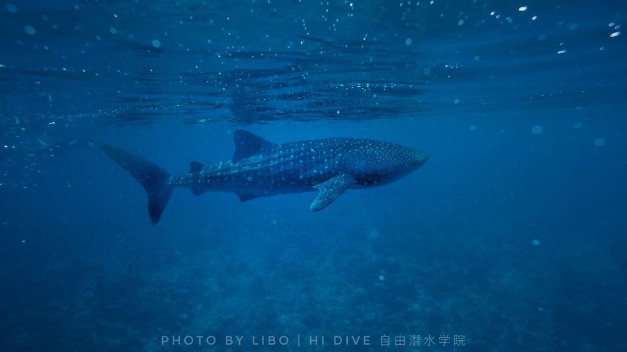 Ithaa Dhigurah Maldives Dhigurah (Alif Dhaal Atoll) Buitenkant foto