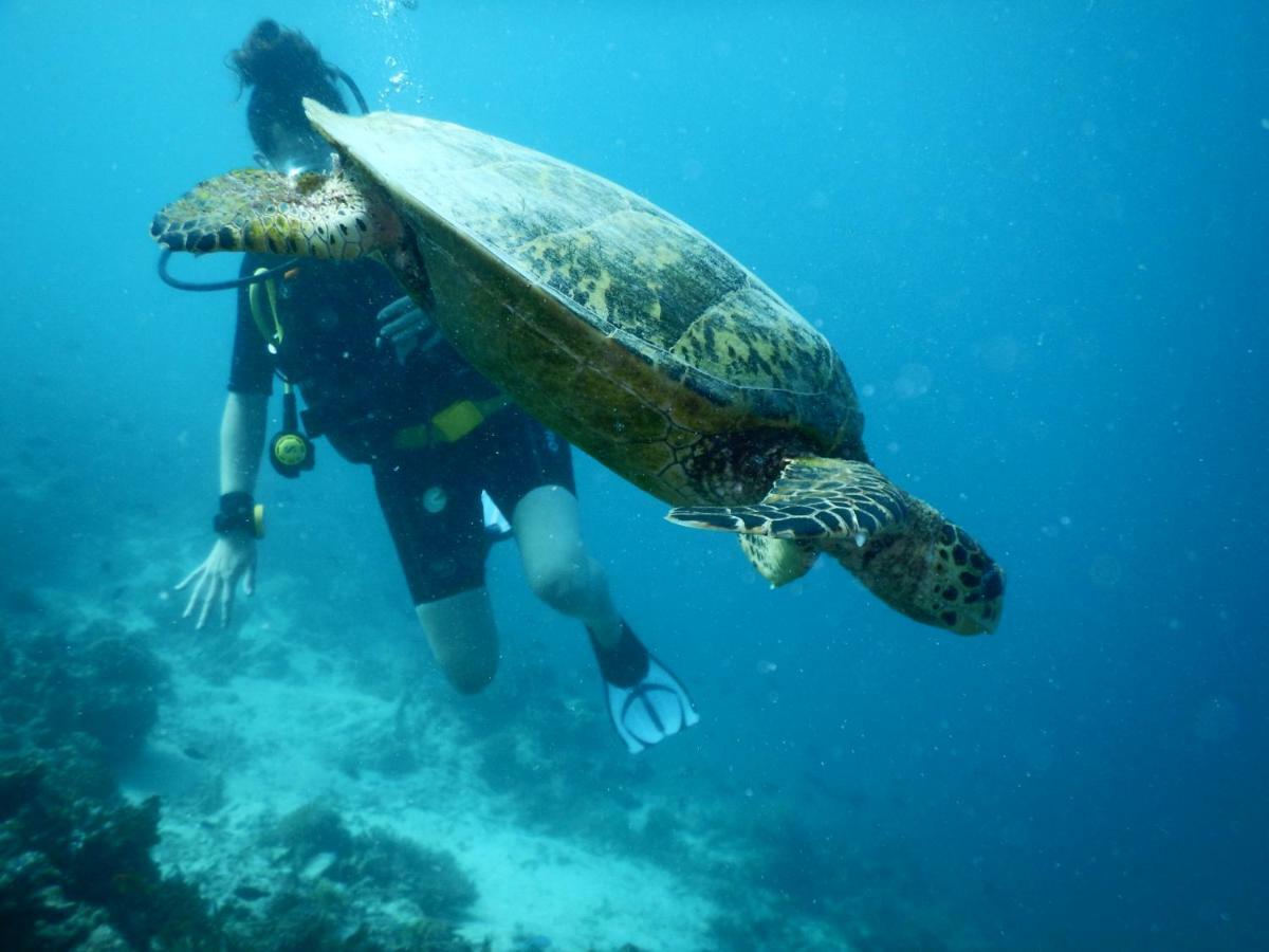 Ithaa Dhigurah Maldives Dhigurah (Alif Dhaal Atoll) Buitenkant foto